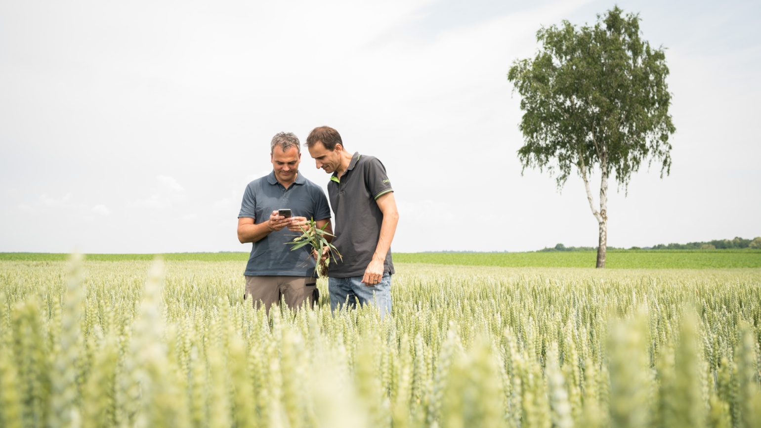 Agrarwetter | BASF Agricultural Solutions DE