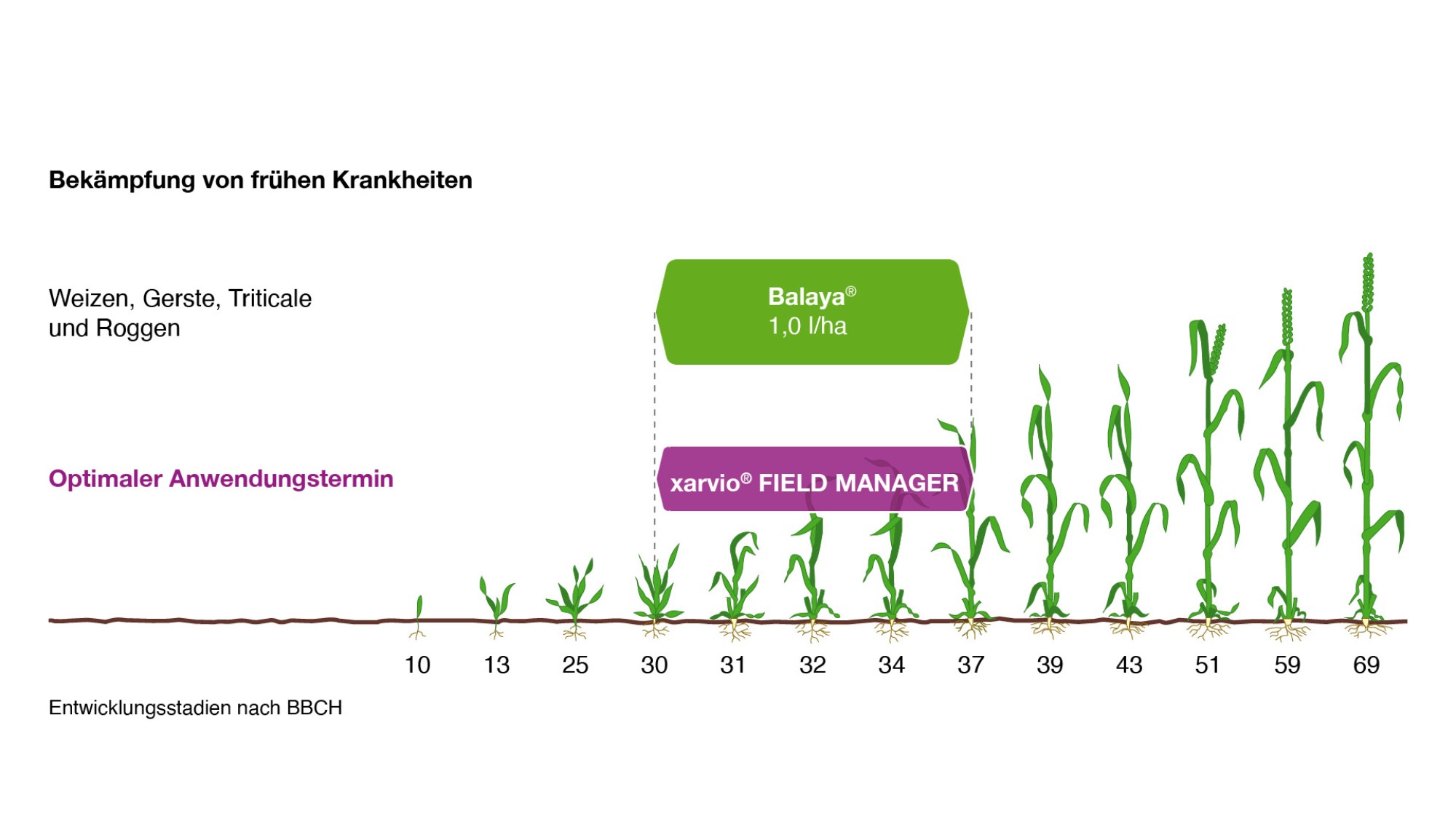 Bekämpfung von frühen Krankheiten