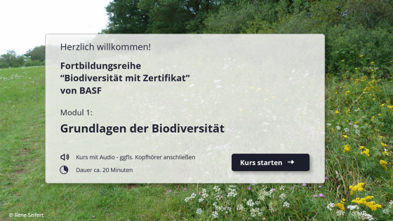 Modul 1: Grundlagen der Biodiversität