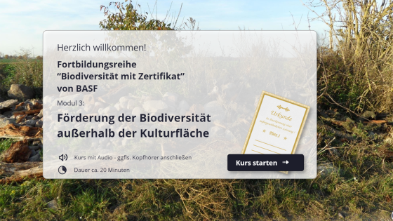 Modul 3: Förderung der Biodiversität außerhalb der Kulturfläche